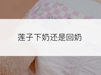 莲子下奶还是回奶