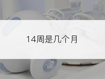 14周是几个月