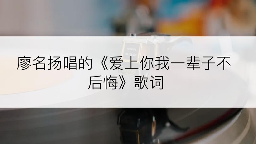 廖名扬唱的《爱上你我一辈子不后悔》歌词