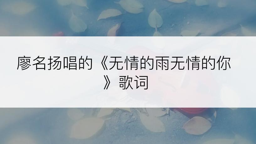 廖名扬唱的《无情的雨无情的你》歌词