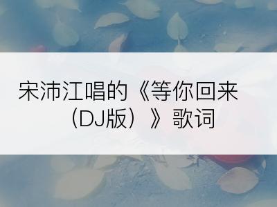 宋沛江唱的《等你回来（DJ版）》歌词