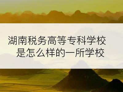 湖南税务高等专科学校是怎么样的一所学校