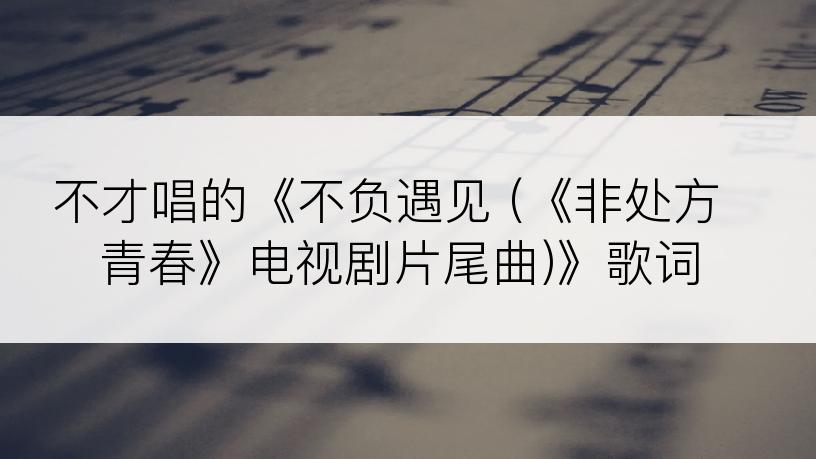 不才唱的《不负遇见 (《非处方青春》电视剧片尾曲)》歌词