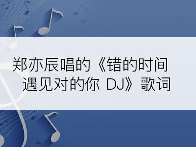 郑亦辰唱的《错的时间遇见对的你 DJ》歌词