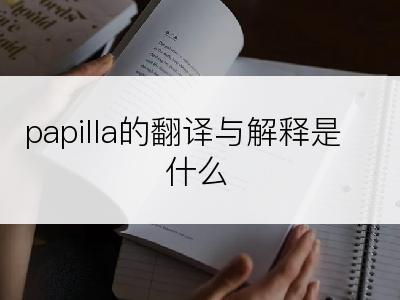 papilla的翻译与解释是什么