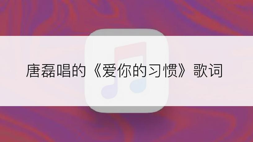 唐磊唱的《爱你的习惯》歌词