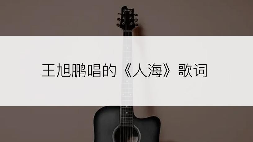 王旭鹏唱的《人海》歌词