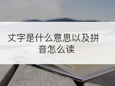 丈字是什么意思以及拼音怎么读