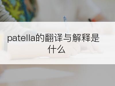 patella的翻译与解释是什么