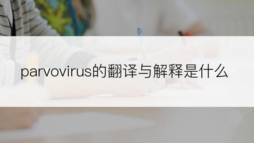 parvovirus的翻译与解释是什么