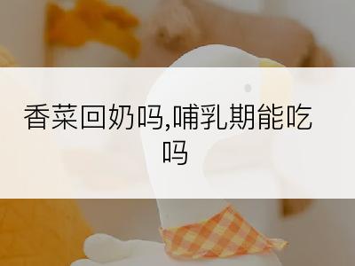 香菜回奶吗,哺乳期能吃吗