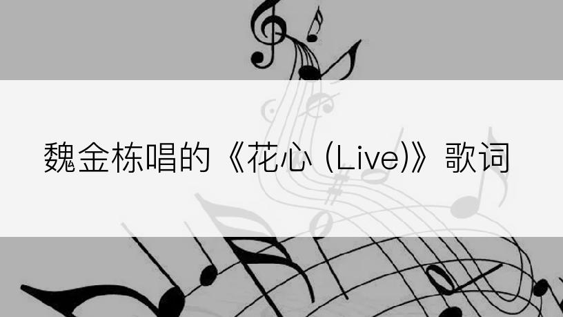 魏金栋唱的《花心 (Live)》歌词