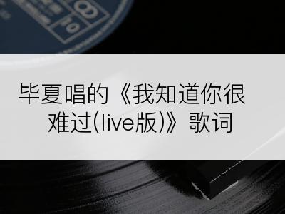 毕夏唱的《我知道你很难过(live版)》歌词