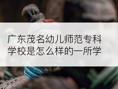 广东茂名幼儿师范专科学校是怎么样的一所学校