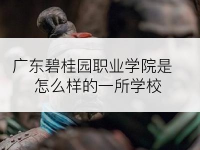 广东碧桂园职业学院是怎么样的一所学校