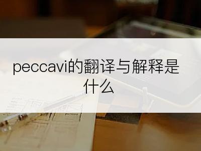 peccavi的翻译与解释是什么