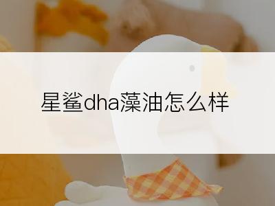 星鲨dha藻油怎么样