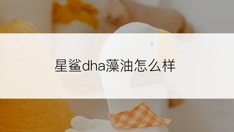 星鲨dha藻油怎么样