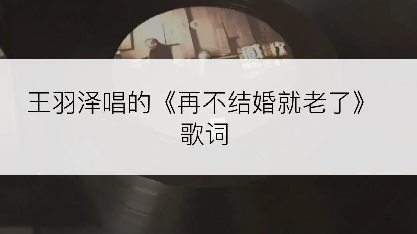 王羽泽唱的《再不结婚就老了》歌词