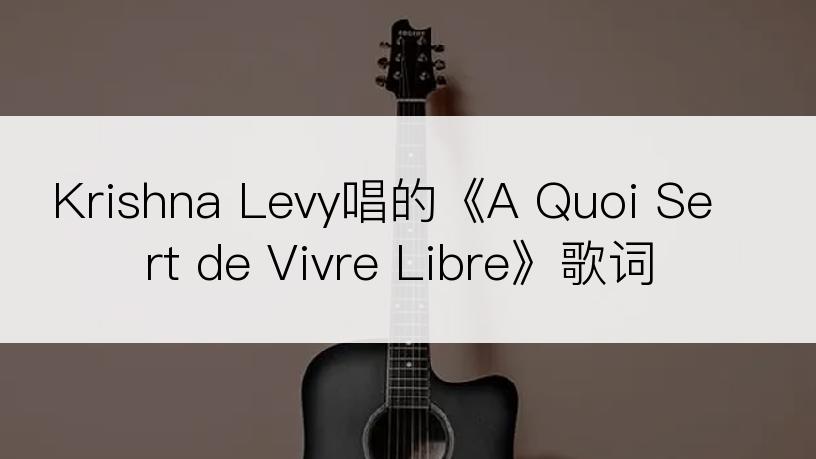 Krishna Levy唱的《A Quoi Sert de Vivre Libre》歌词