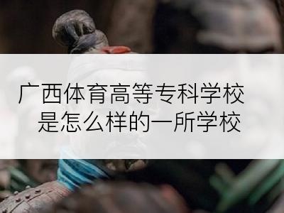 广西体育高等专科学校是怎么样的一所学校