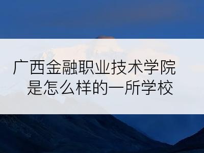 广西金融职业技术学院是怎么样的一所学校