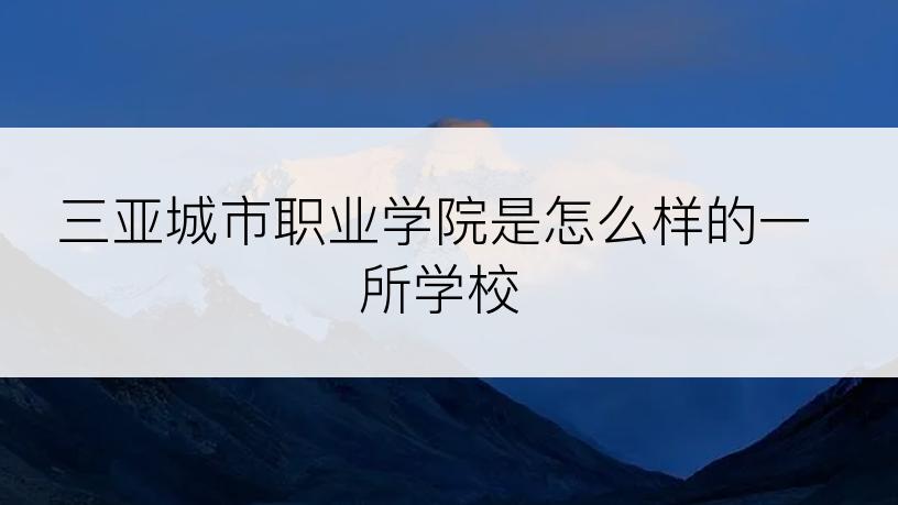 三亚城市职业学院是怎么样的一所学校