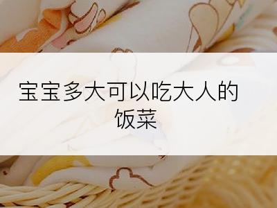 宝宝多大可以吃大人的饭菜