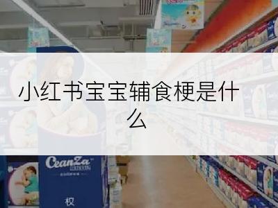 小红书宝宝辅食梗是什么