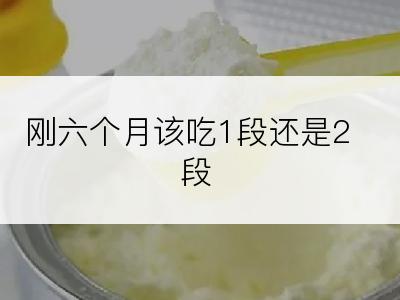 刚六个月该吃1段还是2段