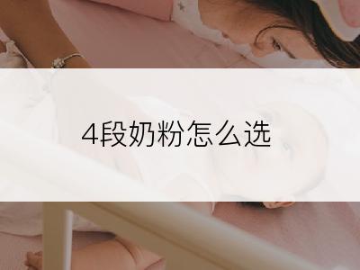 4段奶粉怎么选