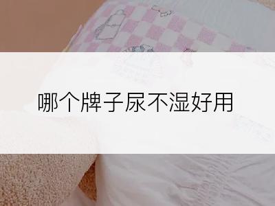 哪个牌子尿不湿好用