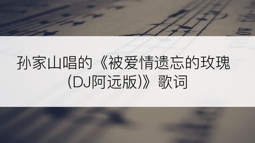 孙家山唱的《被爱情遗忘的玫瑰 (DJ阿远版)》歌词