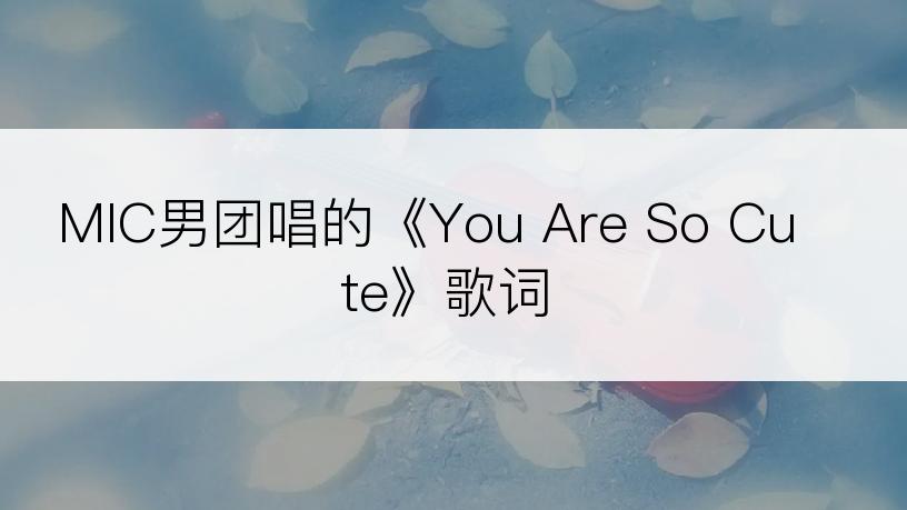 MIC男团唱的《You Are So Cute》歌词