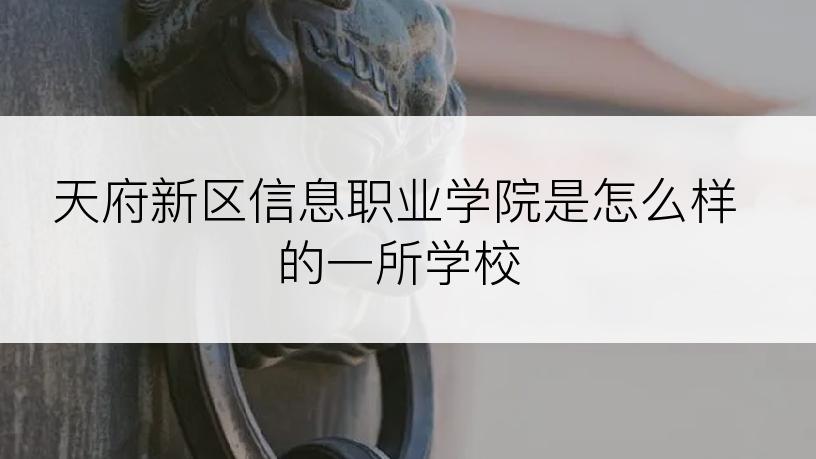 天府新区信息职业学院是怎么样的一所学校