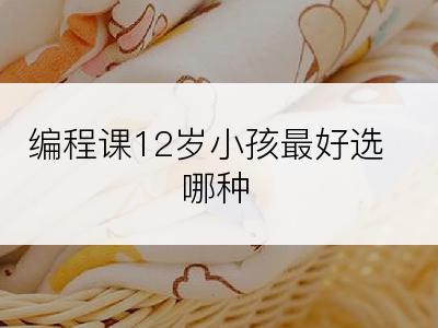 编程课12岁小孩最好选哪种