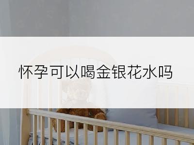 怀孕可以喝金银花水吗