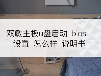 双敏主板u盘启动_bios设置_怎么样_说明书