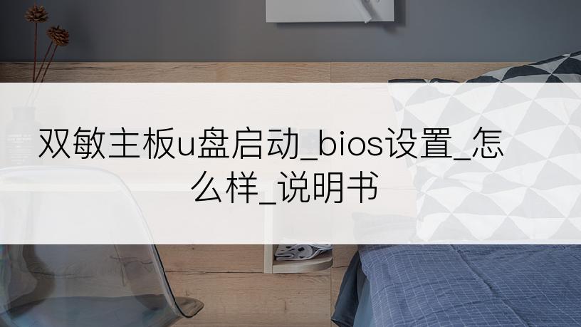 双敏主板u盘启动_bios设置_怎么样_说明书