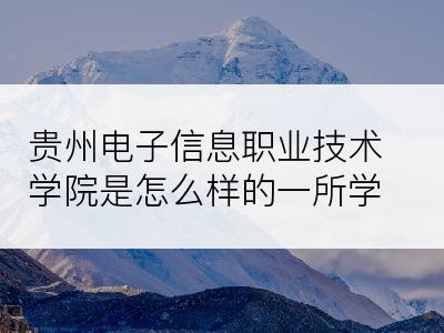 贵州电子信息职业技术学院是怎么样的一所学校