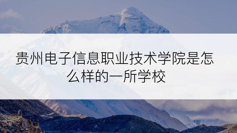 贵州电子信息职业技术学院是怎么样的一所学校