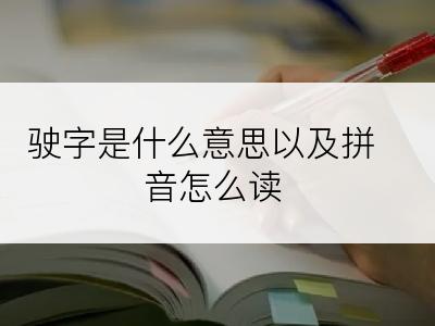 驶字是什么意思以及拼音怎么读