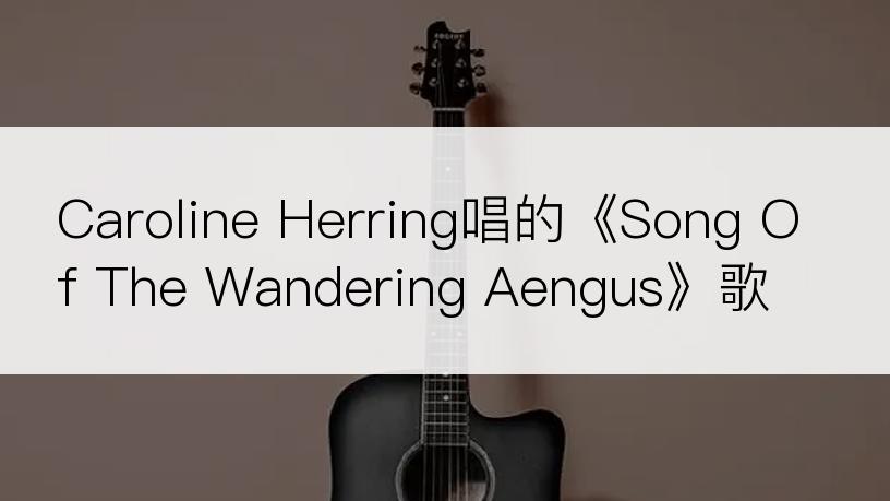 Caroline Herring唱的《Song Of The Wandering Aengus》歌词