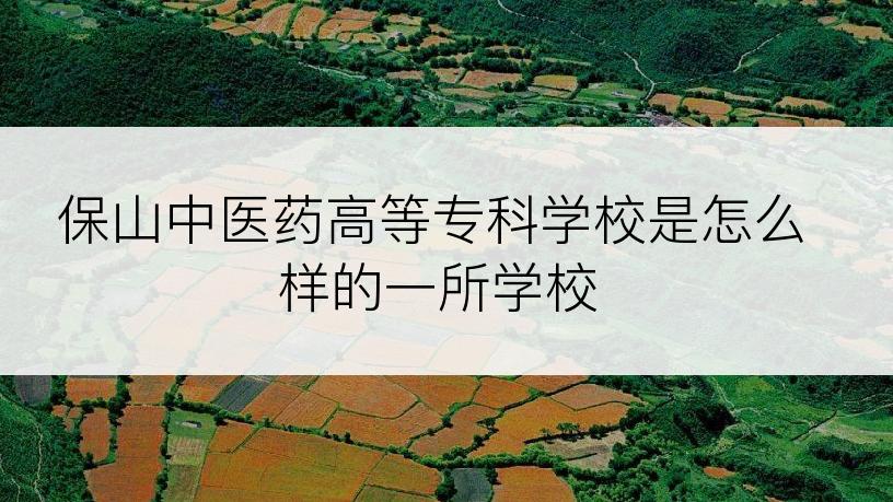 保山中医药高等专科学校是怎么样的一所学校