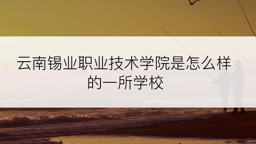 云南锡业职业技术学院是怎么样的一所学校