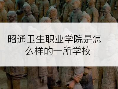 昭通卫生职业学院是怎么样的一所学校