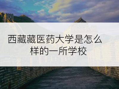 西藏藏医药大学是怎么样的一所学校