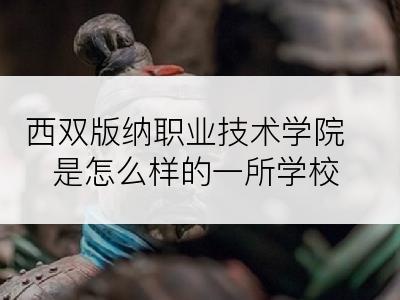 西双版纳职业技术学院是怎么样的一所学校