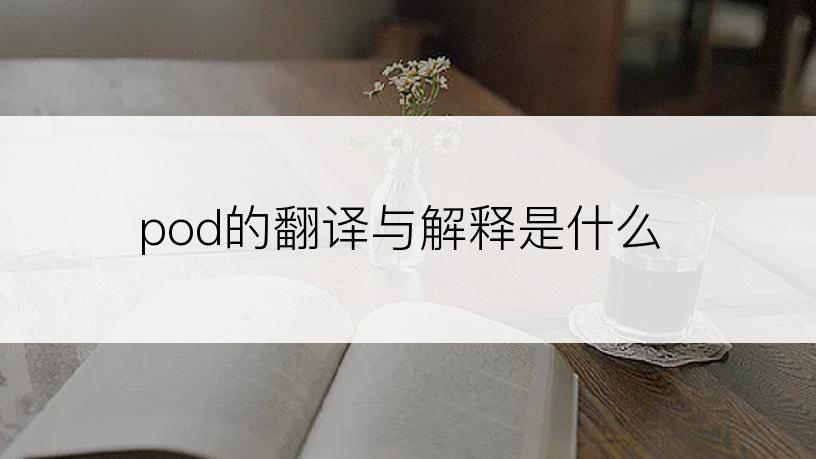 pod的翻译与解释是什么