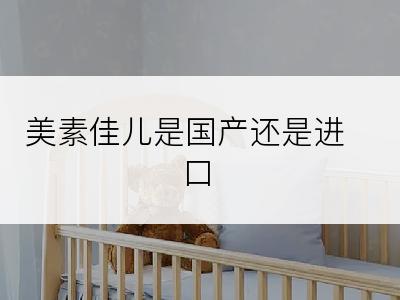 美素佳儿是国产还是进口